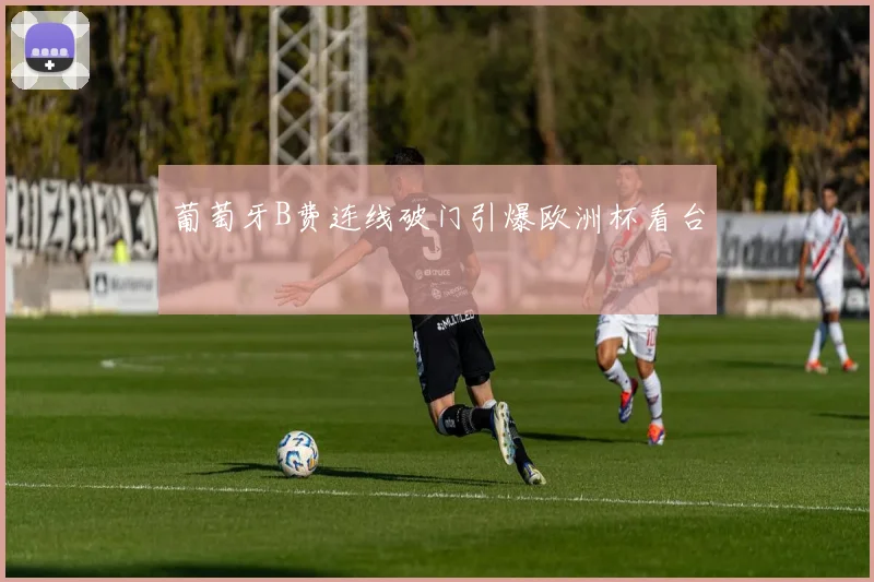 葡萄牙B费连线破门引爆欧洲杯看台
