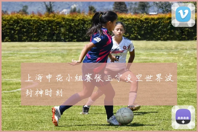 上海申花小组赛张玉宁凌空世界波封神时刻
