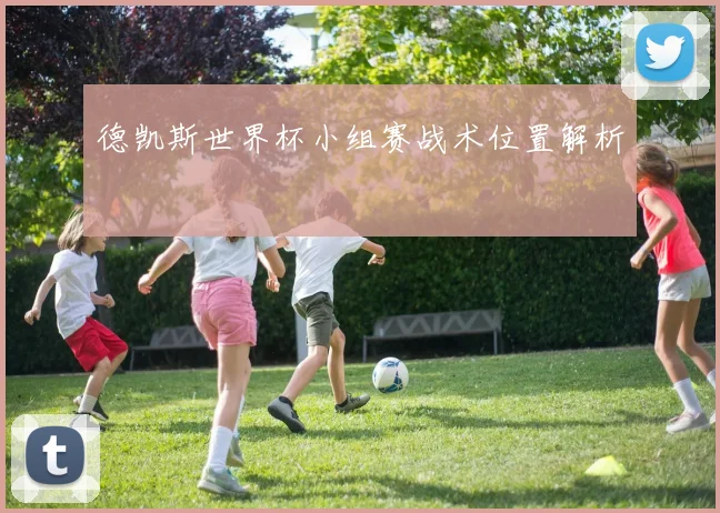 德凯斯世界杯小组赛战术位置解析