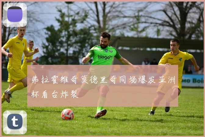 弗拉霍维奇莫德里奇同场爆发亚洲杯看台炸裂